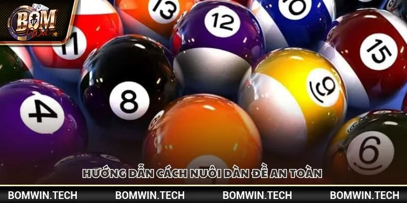 Hướng dẫn cách nuôi dàn đề an toàn 